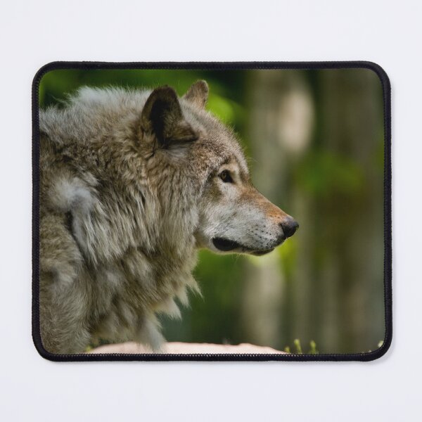 Item preview, Timber Wolf designed and sold by Michael Cummings.