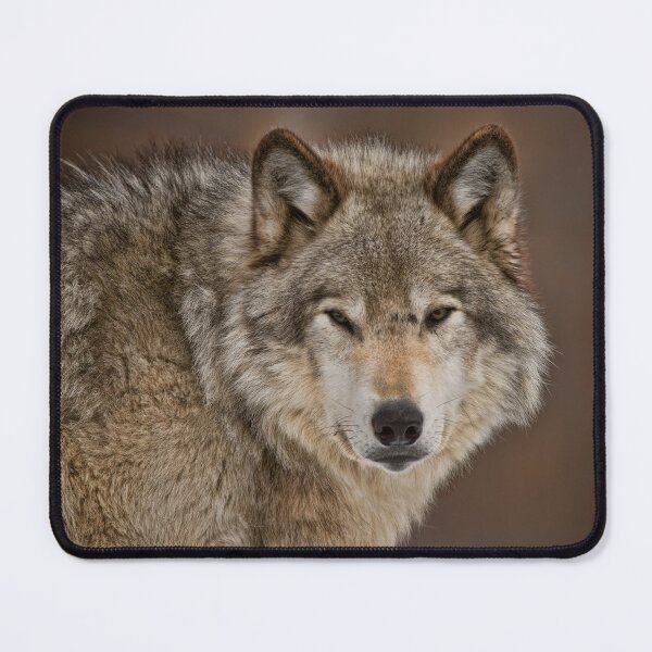 Item preview, Gray Wolf designed and sold by Michael Cummings.