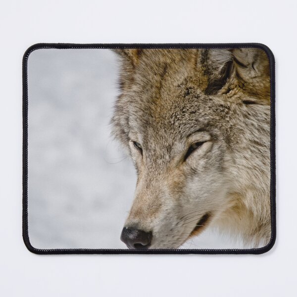 Item preview, Grey Wolf designed and sold by Michael Cummings.