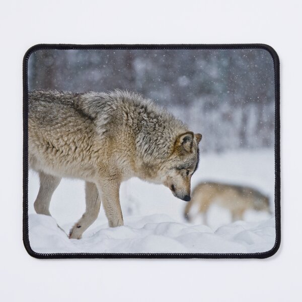 Item preview, Timber Wolves designed and sold by Michael Cummings.