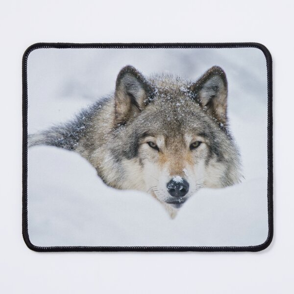 Item preview, Gray Wolf designed and sold by Michael Cummings.