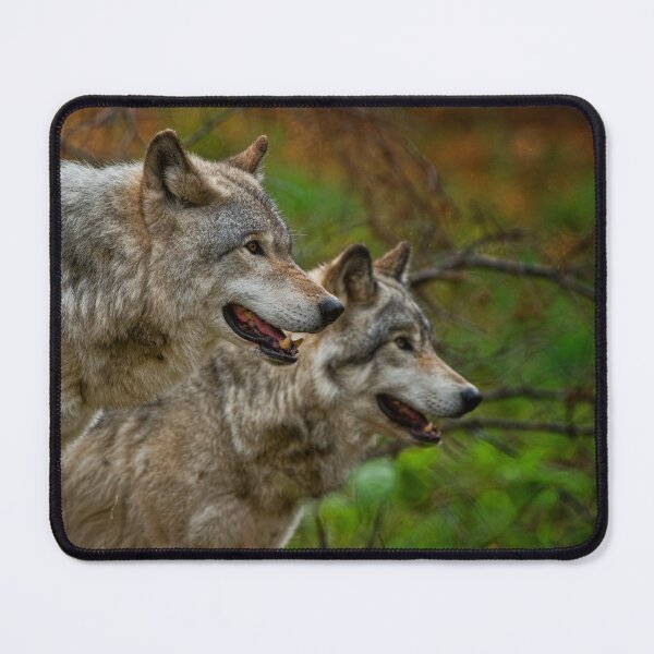 Item preview, Gray Wolves designed and sold by Michael Cummings.