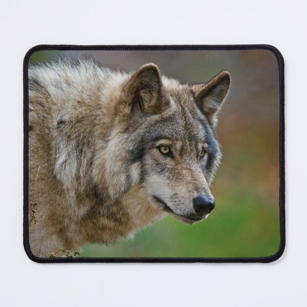 Item preview, Timber Wolf designed and sold by Michael Cummings.