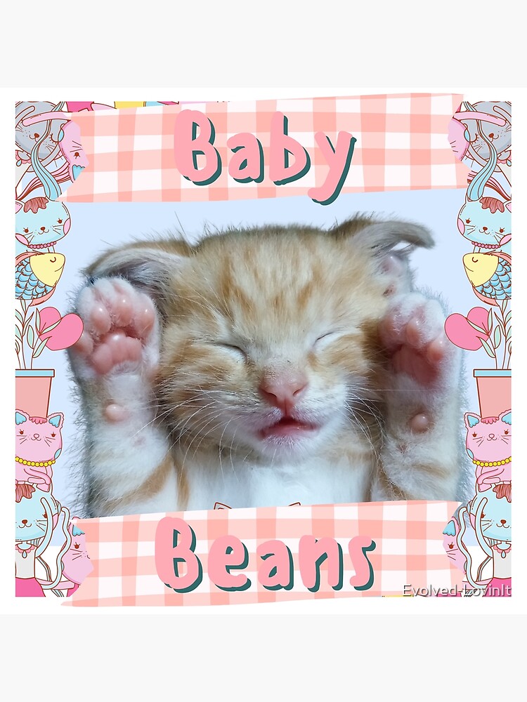Baby Beans -Adorable Kitten Paws Photographic Print