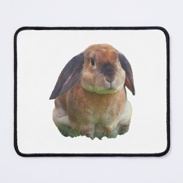 Item preview, Cute Bunny sad in grass. cute rabbit. animal designed and sold by animalcutie.