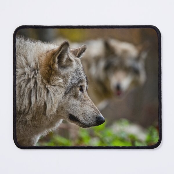 Item preview, Grey Wolves designed and sold by Michael Cummings.