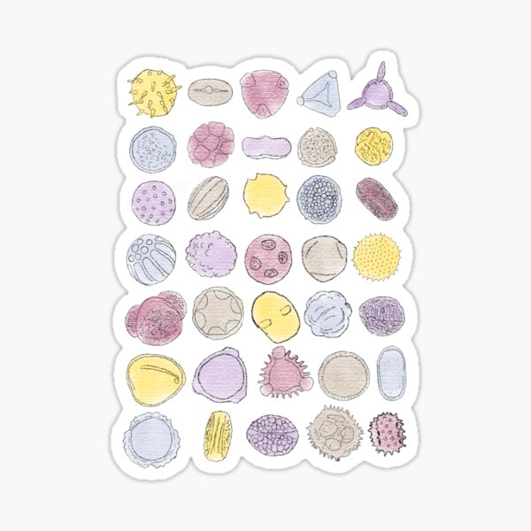 Item preview, Colorful pollens designed and sold by Tianguistore.