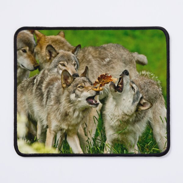 Item preview, Timber Wolves designed and sold by Michael Cummings.