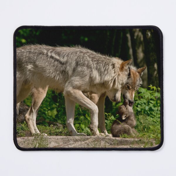 Item preview, Timber Wolves With Pup designed and sold by Michael Cummings.