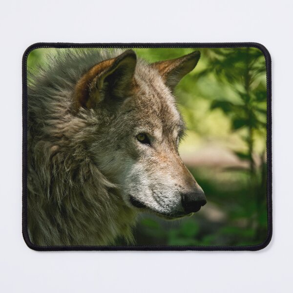 Item preview, Grey Wolf designed and sold by Michael Cummings.