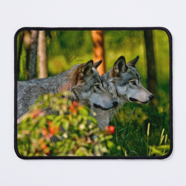 Item preview, Timber Wolves designed and sold by Michael Cummings.