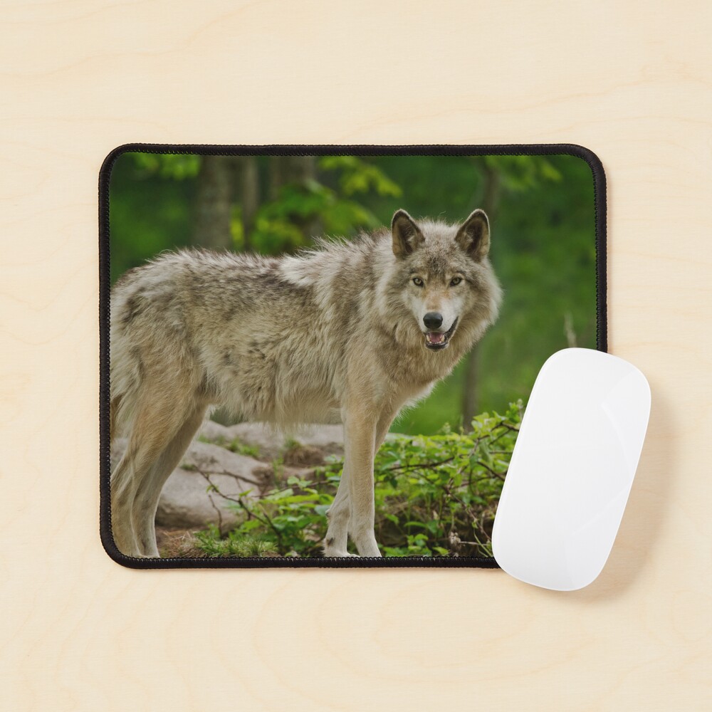 Item preview, Mouse Pad designed and sold by jaydee1400.