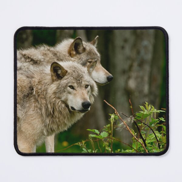 Item preview, Timber Wolves designed and sold by Michael Cummings.