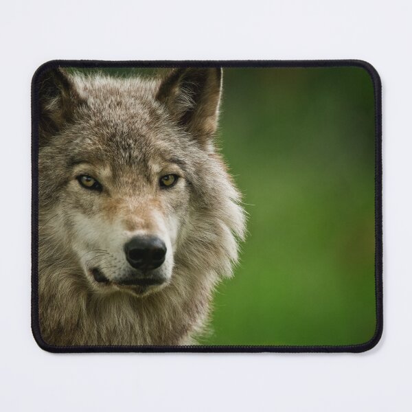 Item preview, Gray Wolf designed and sold by Michael Cummings.