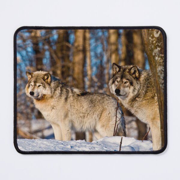 Item preview, Grey Wolves designed and sold by Michael Cummings.