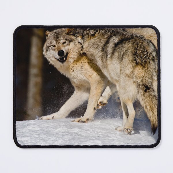 Item preview, Gray Wolves designed and sold by Michael Cummings.