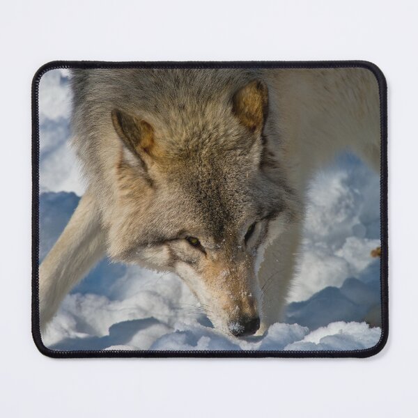 Item preview, Grey Wolf designed and sold by Michael Cummings.