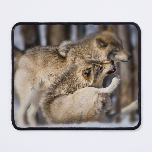 Item preview, Timber Wolves designed and sold by Michael Cummings.