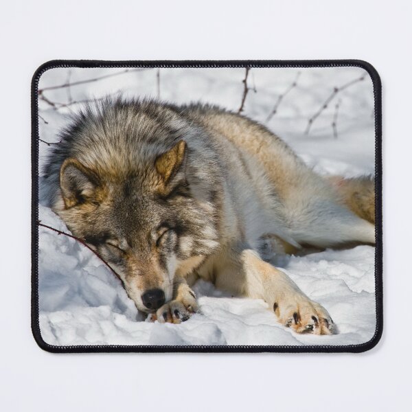 Item preview, Gray Wolf designed and sold by Michael Cummings.