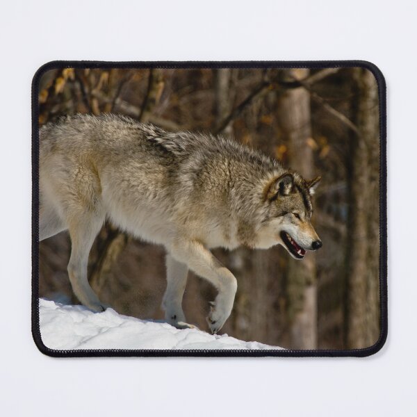Item preview, Grey Wolf designed and sold by Michael Cummings.