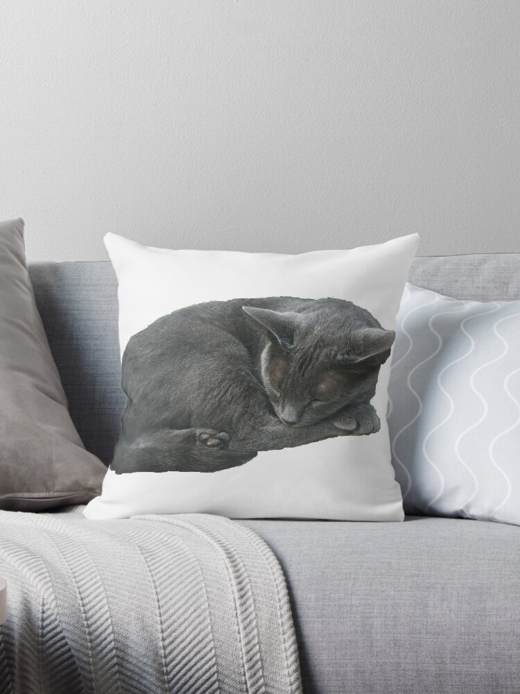 grey pillow tabby