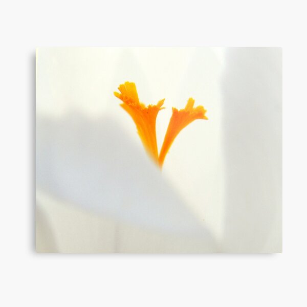 Alleluia - it's Spring! Metal Print