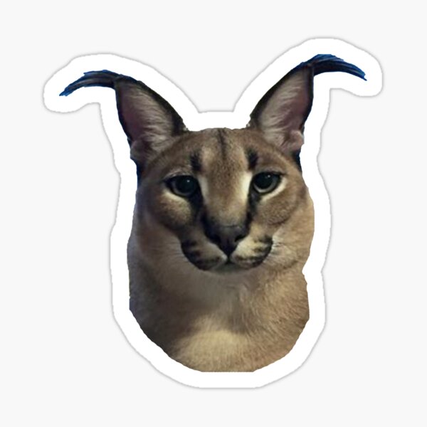 Hip Hop Tendência Grande Floppa Meme Caracal Gato Imprimir