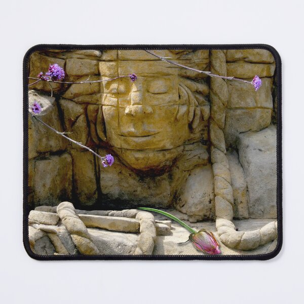 Item preview, Lyme Regis' Sandstone Face. Classic British seaside resort designed and sold by JonDelorme.