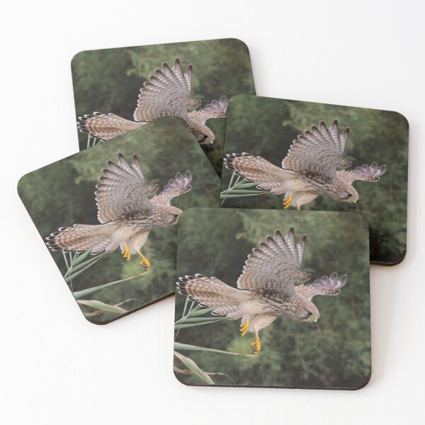 Item preview, Common kestrel attack designed and sold by Alexandrezorro.