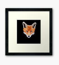 Sly Framed Print