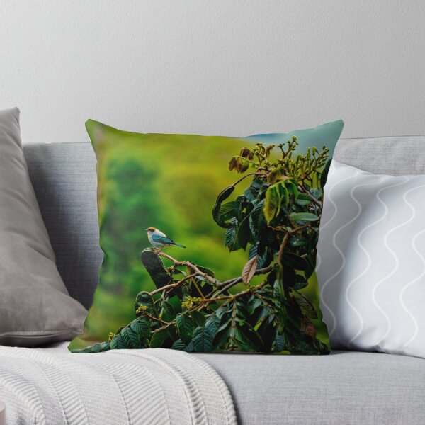 Item preview, Scrub Tanager Near Fenicia designed and sold by alabca.
