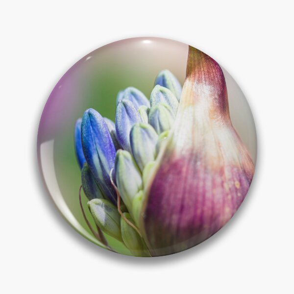 Item preview, Allium bud starting to bloom designed and sold by CyaniRose.