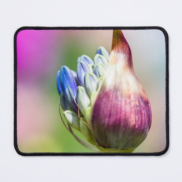 Item preview, Allium bud starting to bloom designed and sold by CyaniRose.