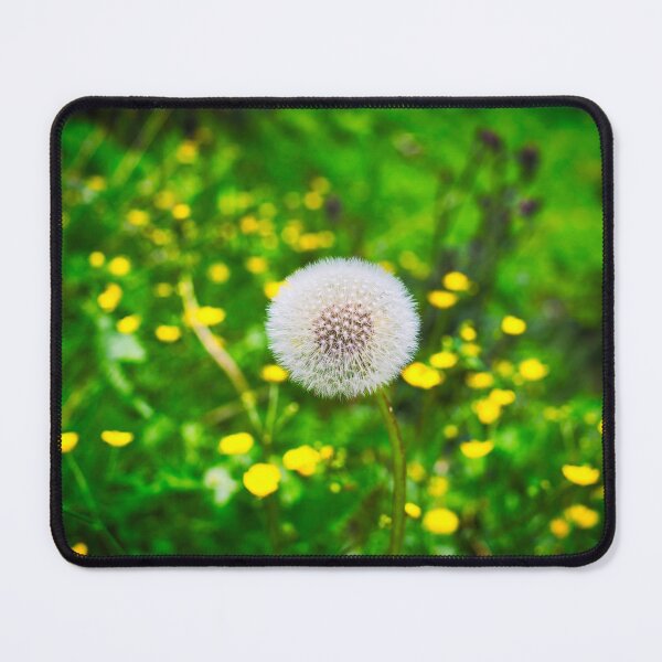 Item preview, Dandelion with Fresh and Green Grass designed and sold by gphotobox.