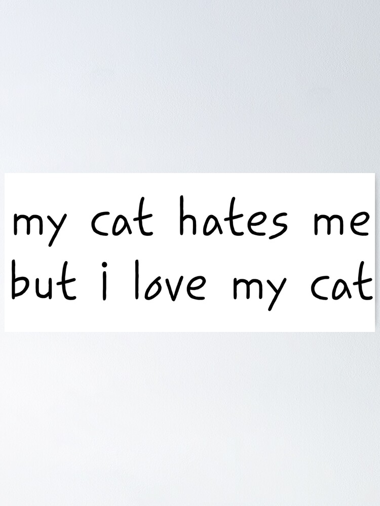 "My Cat Hates Me Funny Cat Quote/Meme" Poster for Sale by JakobMerkel