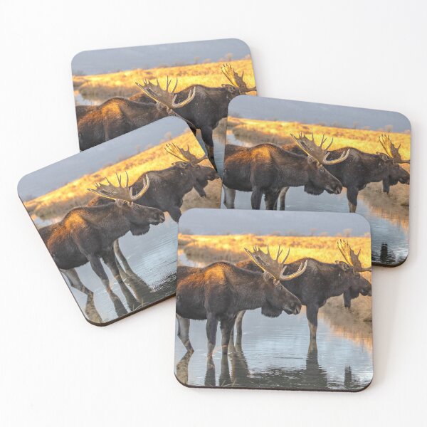 Item preview, Bull Moose designed and sold by jendevosphoto.