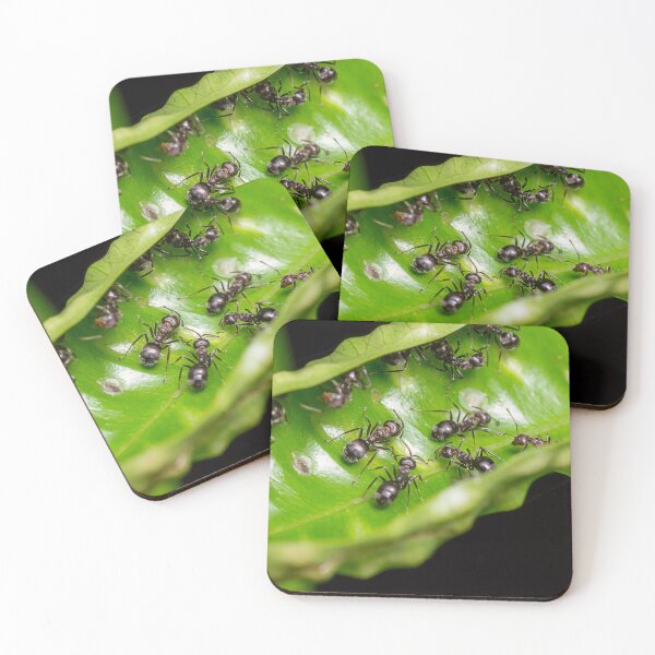 Item preview, Unique and organic photo of a swarm of ants designed and sold by AvonPerception.