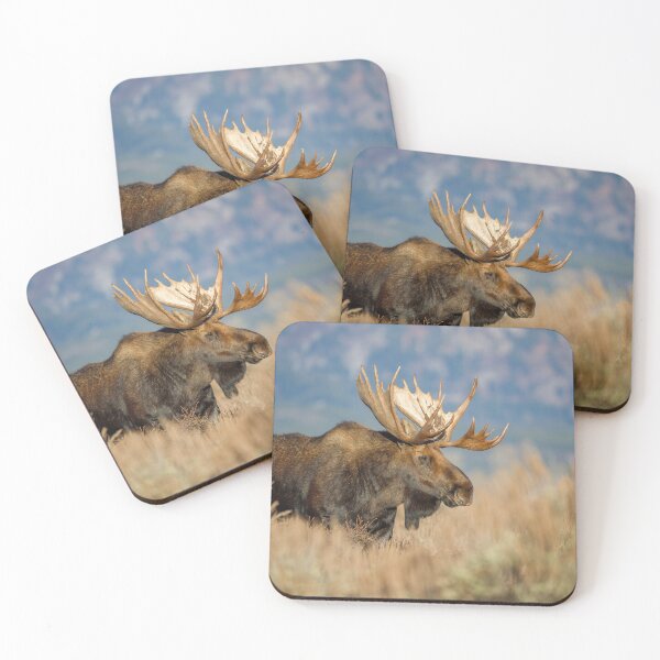 Item preview, Bull Moose profile designed and sold by jendevosphoto.
