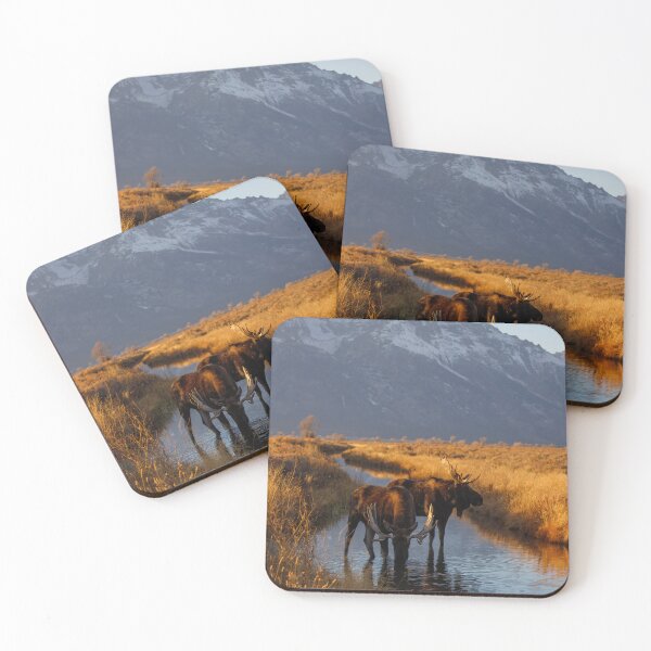 Item preview, Moose in stream designed and sold by jendevosphoto.