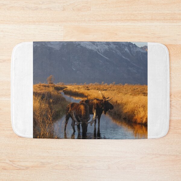 Item preview, Moose in stream designed and sold by jendevosphoto.