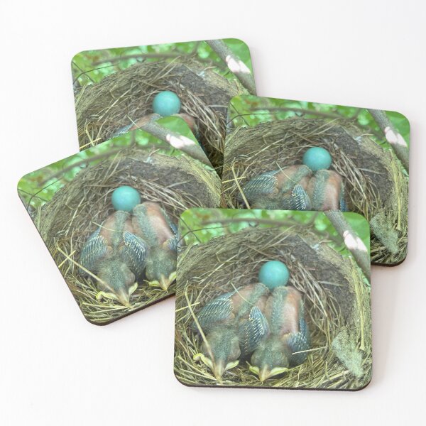 Item preview, Unhatched Robin designed and sold by J. Robin Whitley.