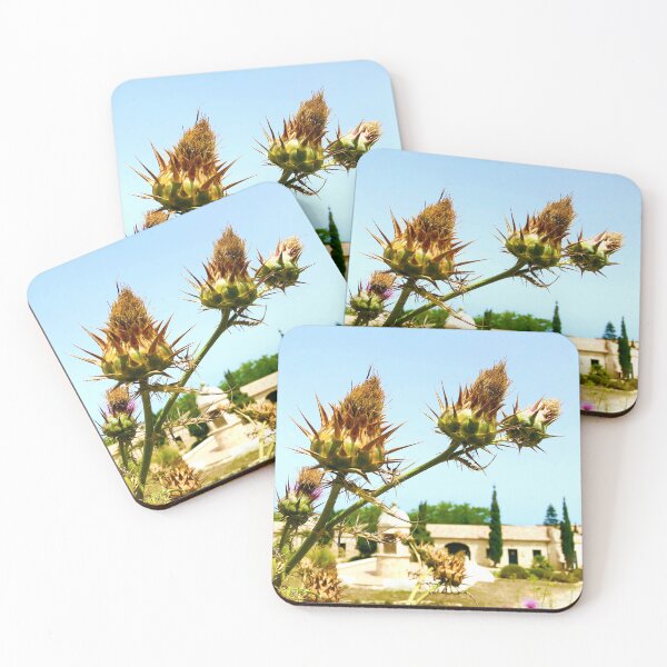 Item preview, Nature Travel, Thistles on Illa del Rei, Menorca designed and sold by suekieper.