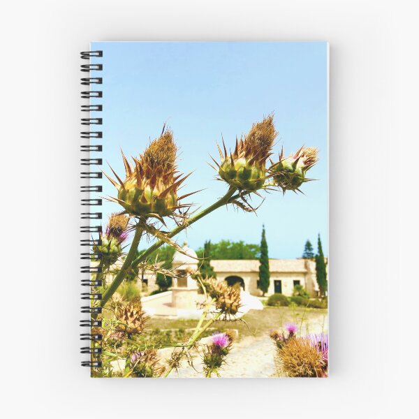 Item preview, Nature Travel, Thistles on Illa del Rei, Menorca designed and sold by suekieper.