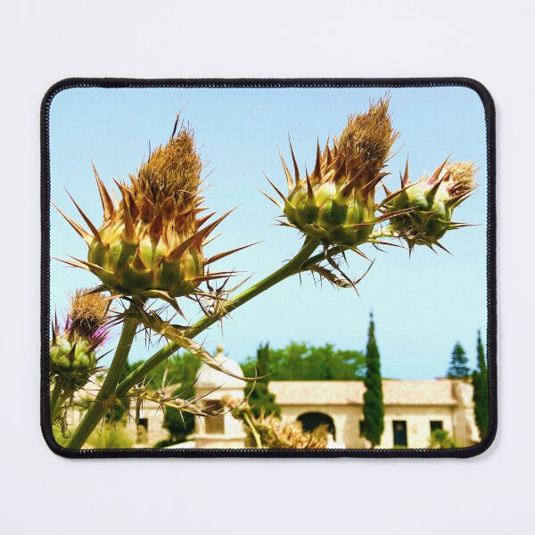 Item preview, Nature Travel, Thistles on Illa del Rei, Menorca designed and sold by suekieper.