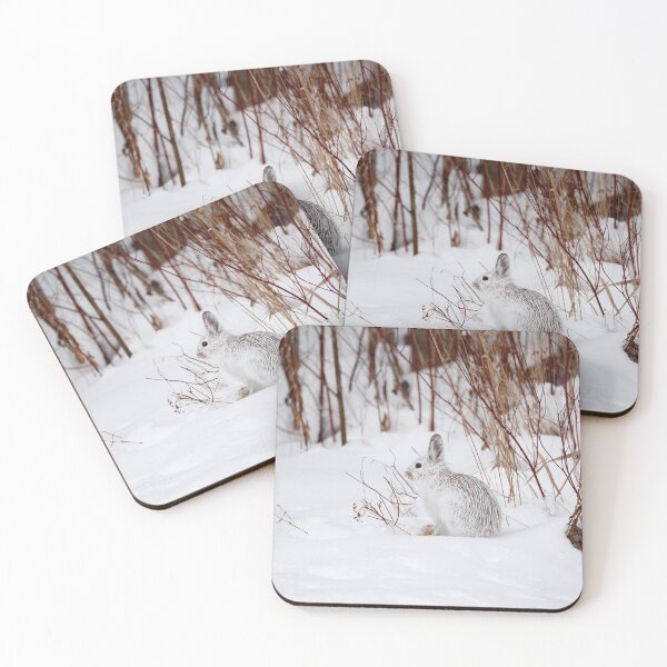 Item preview, Snowshoe hare in winter designed and sold by jendevosphoto.