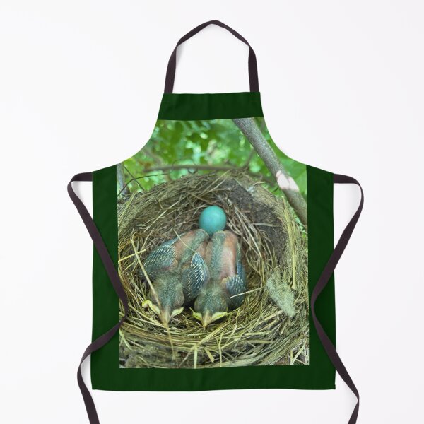 Item preview, Unhatched Robin designed and sold by J. Robin Whitley.