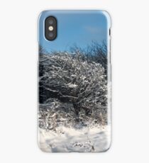 Snow scene iPhone Case/Skin