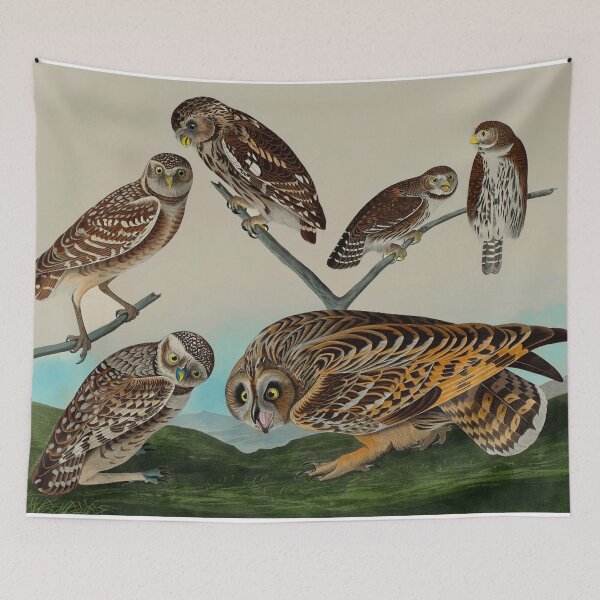 Item preview, Six Owls designed and sold by IliaLobell.