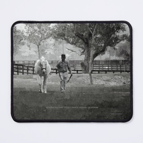 Item preview, BONSALL'S WHITE CHAMPION C2022 Steve Yellowbear Fine Art designed and sold by SteveYellowbear.