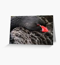 Black Swan Greeting Card